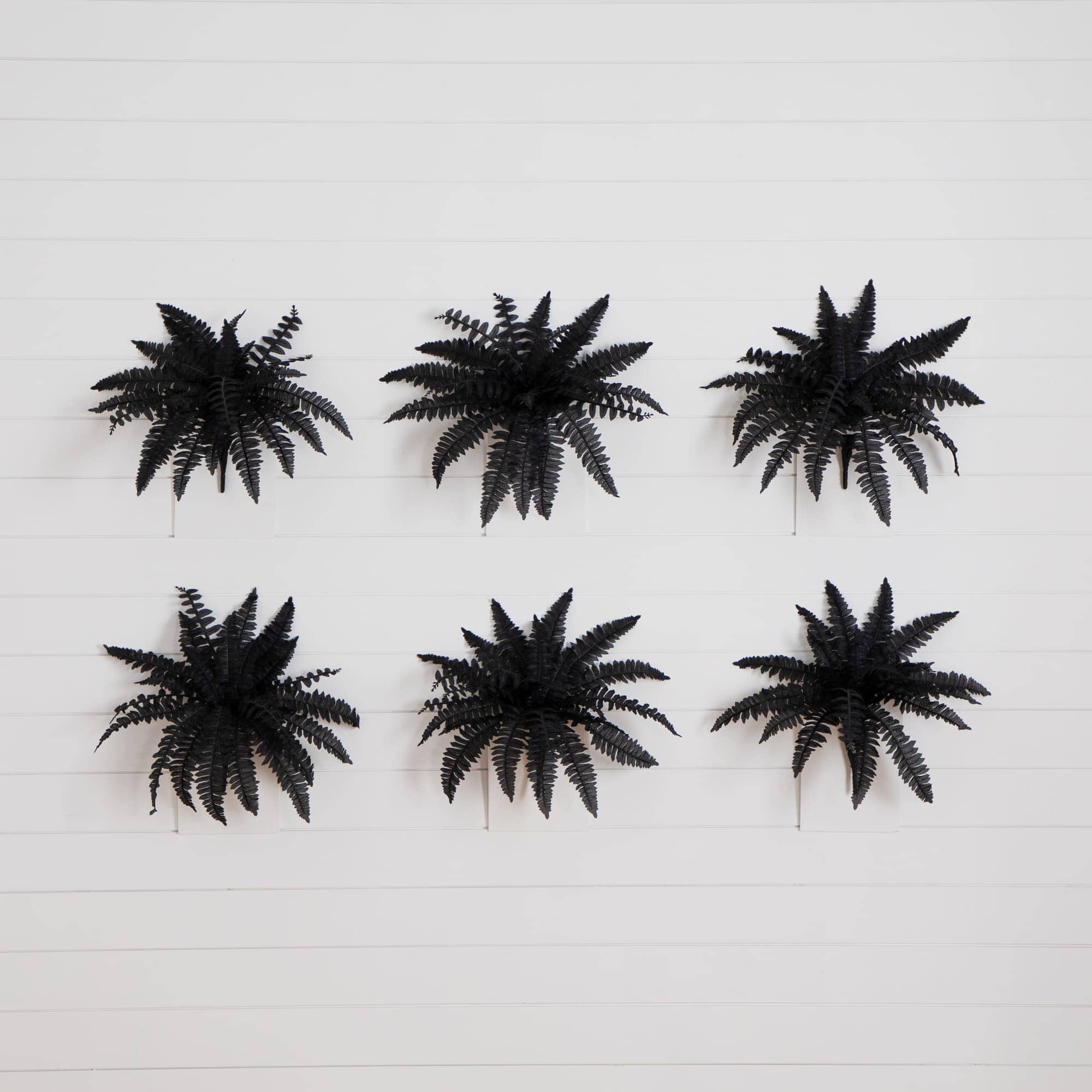 19" Artificial Halloween Black Boston Fern - Set of 6